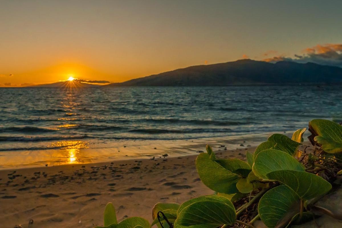 Maui Sunset B-115 Apartamento Kihei Exterior foto